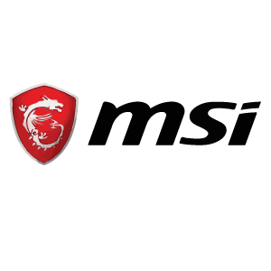 MSI